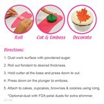 Christmas Fondant and Pie Cutter