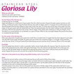 Gloriosa Lily Cutter by James Rosselle