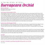 Burrageara Orchid Cutter by James Rosselle